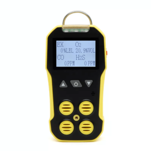 BH4A Portable Gas Detector