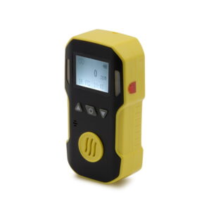 BH90A Portable Gas Detector